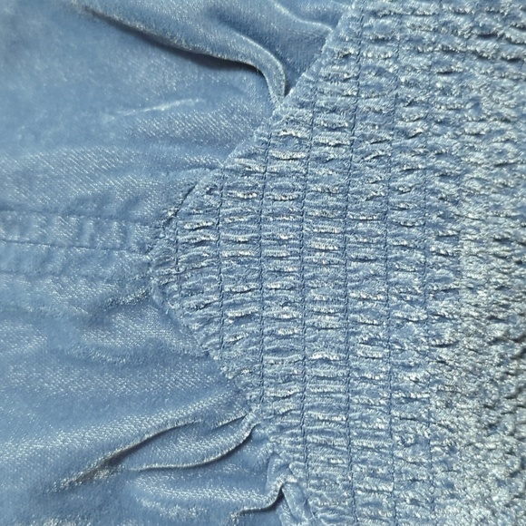 Aerie M Crushed velvet v-neck cap sleeve crop top size Medium - Picture 4 of 5